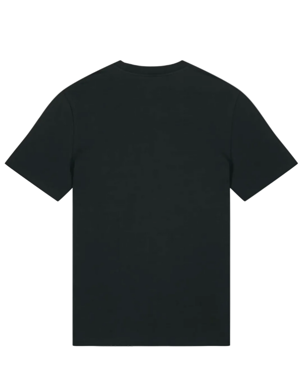 WESLEY BLACK T-SHIRT